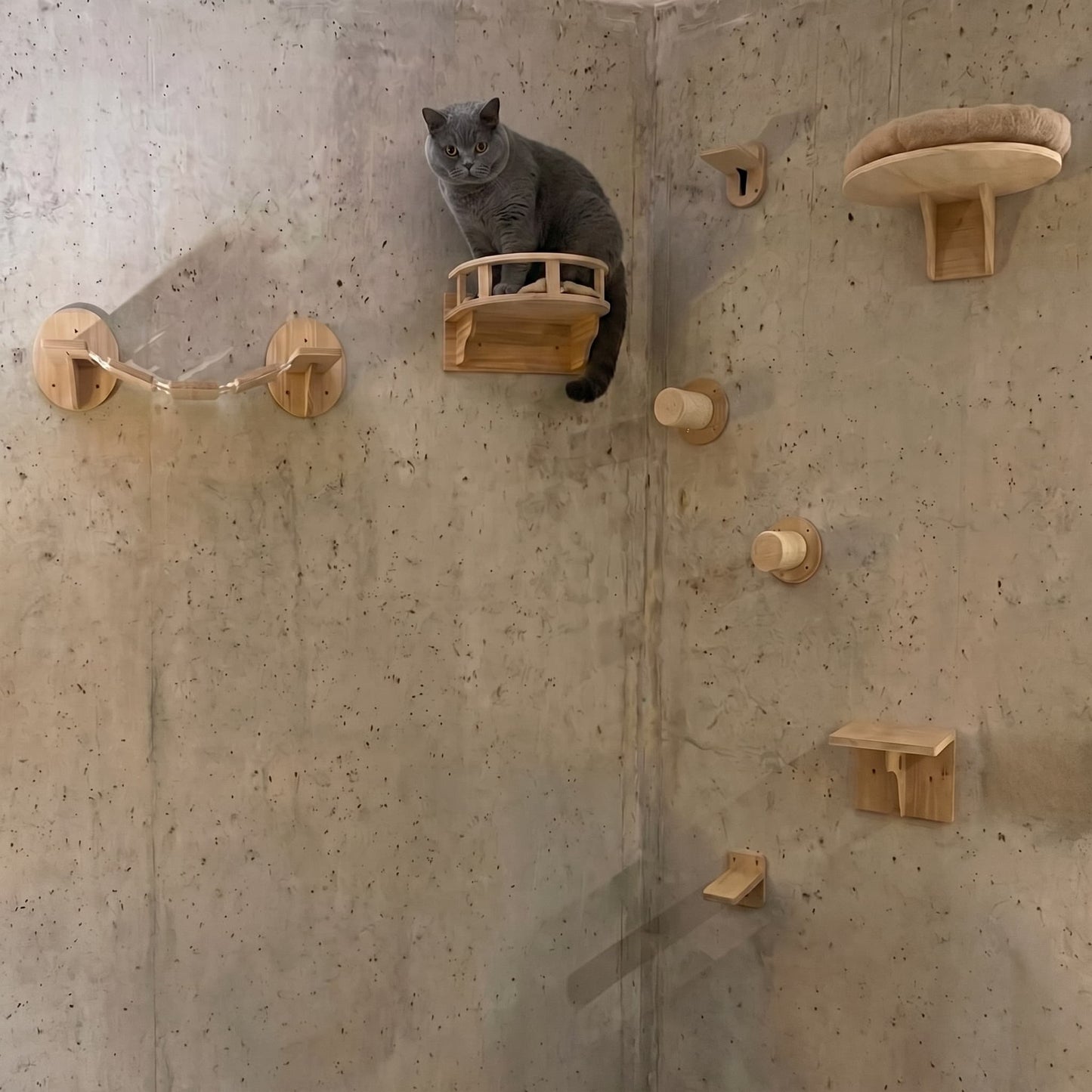 Build Your Cat Wall™