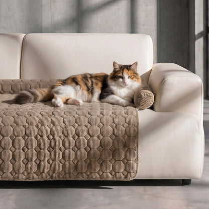 Happy Cat Set
