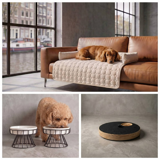 Happy Dog Set