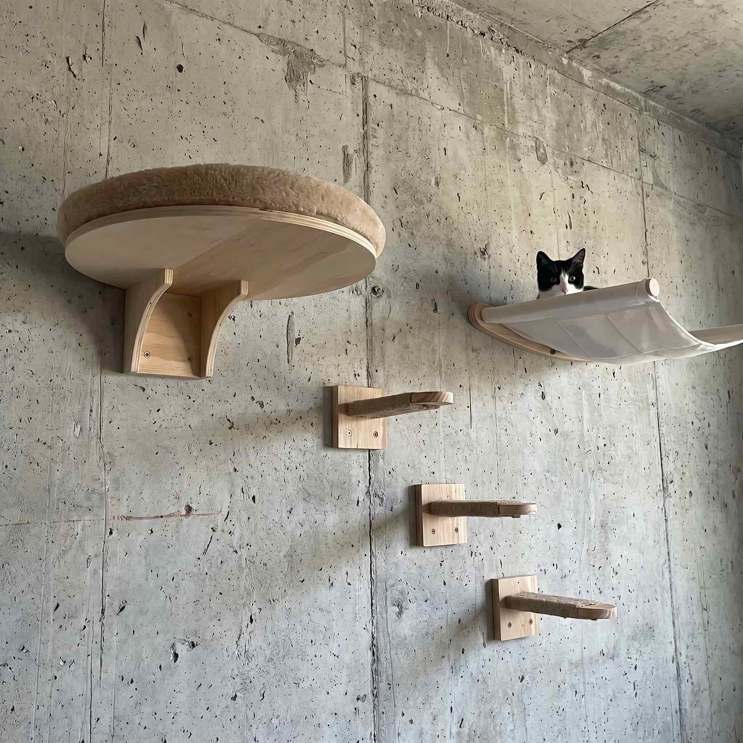 Build Your Cat Wall™