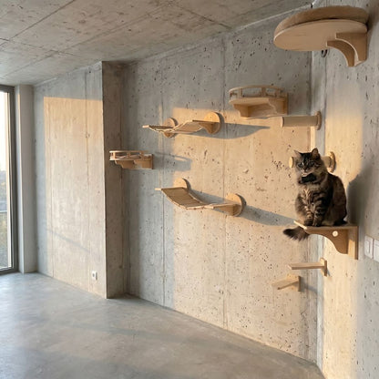 Build Your Cat Wall™
