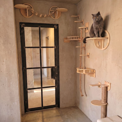 Build Your Cat Wall™