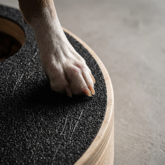 PawTrim Board™