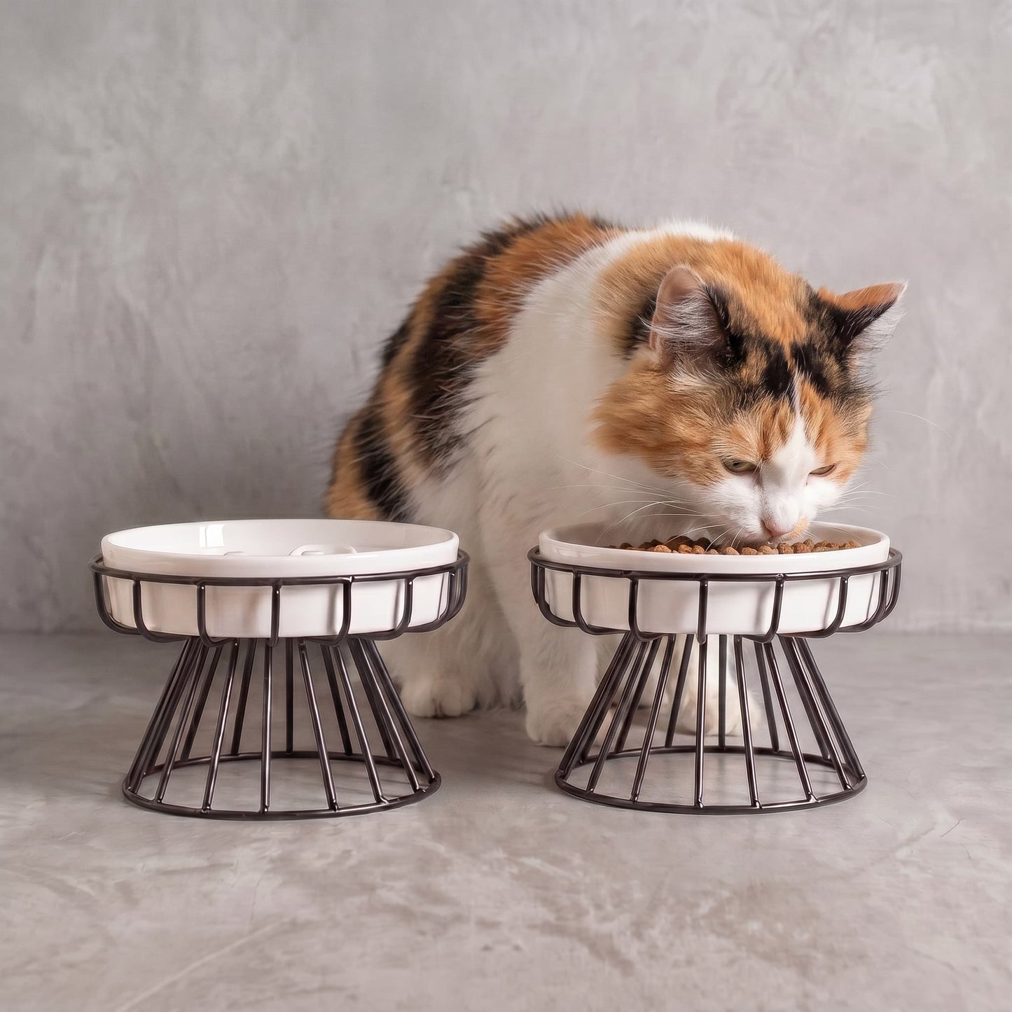 Happy Cat Set